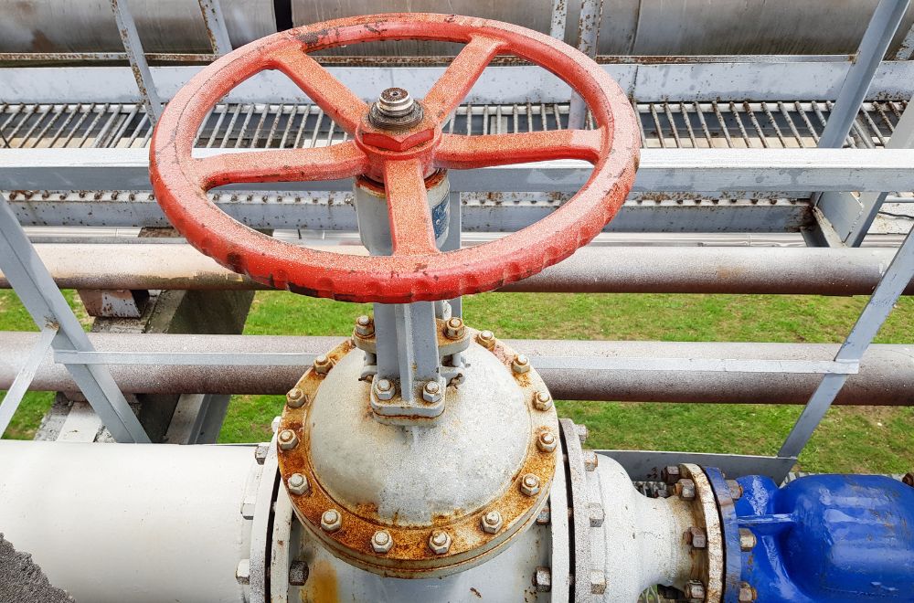 globe valve