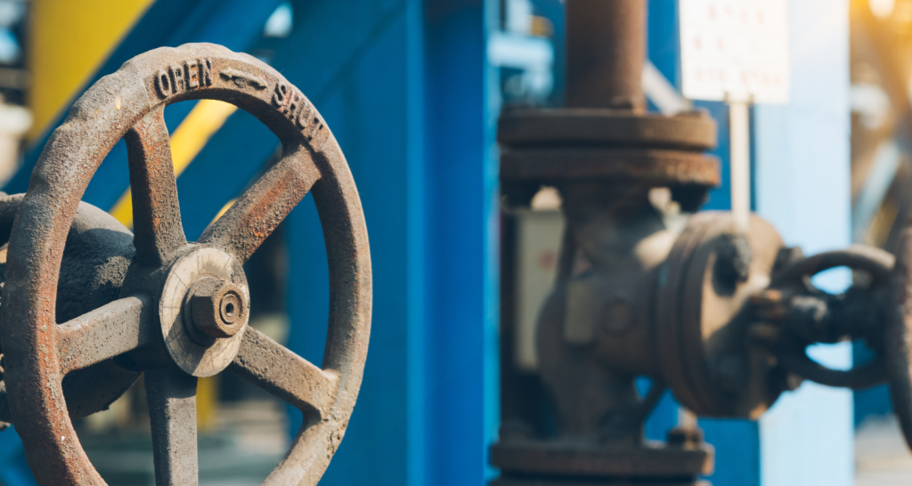 globe valve